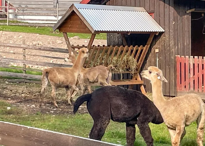 Awesome In Grue Finnskog