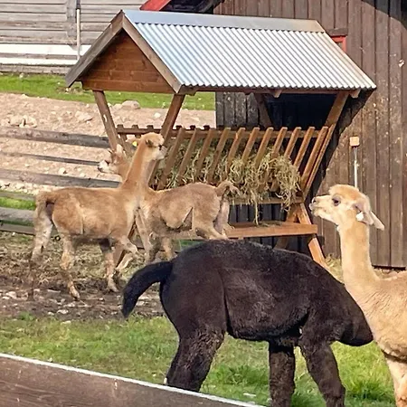 Awesome In Grue Finnskog